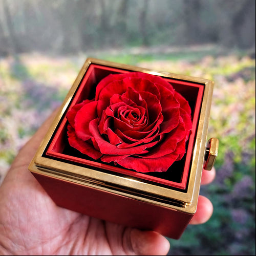Badass Crown - Daughter Birthday Necklace with Rose Box